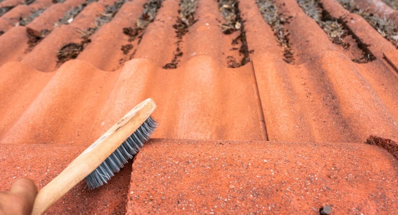 Nettoyage & Peinture de toiture 30 Gard